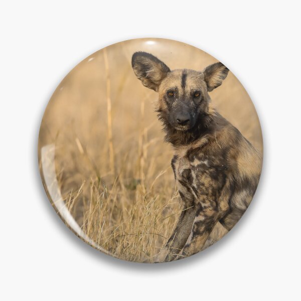 Item preview, African Wild Dog of Savuti — Pup at the Den, Botswana designed and sold by DavideAntoniani.