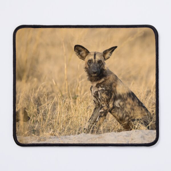 Item preview, African Wild Dog of Savuti — Pup at the Den, Botswana designed and sold by DavideAntoniani.
