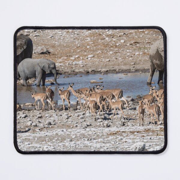 Item preview, Crowded Waterhole — Impalas and Giants at Etosha, Namibia designed and sold by DavideAntoniani.