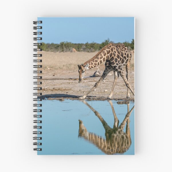 Item preview,  Mirror at the Waterhole — Giraffe Drinking, Etosha, Namibia designed and sold by DavideAntoniani.