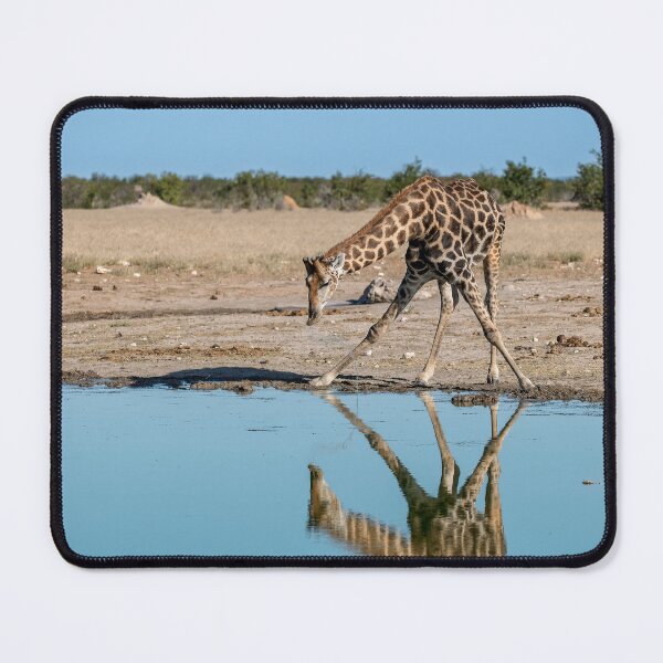 Item preview,  Mirror at the Waterhole — Giraffe Drinking, Etosha, Namibia designed and sold by DavideAntoniani.
