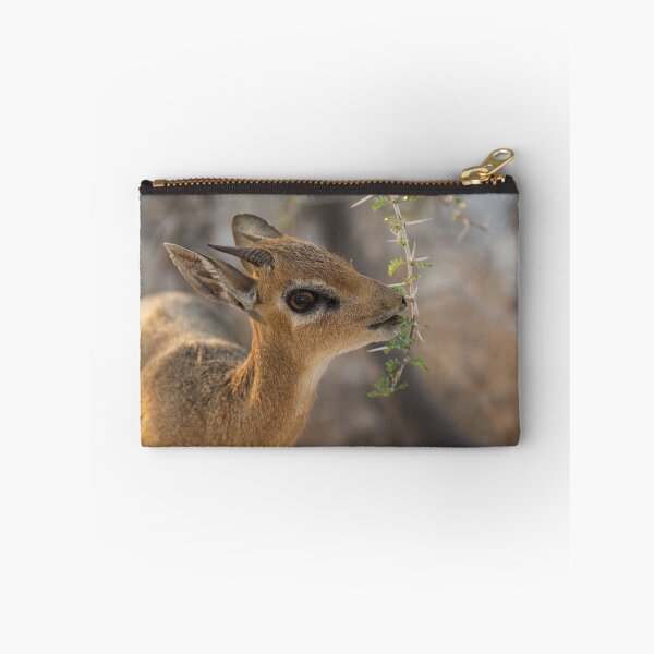 Item preview, Damara Dik Dik Browsing Acacia, Etosha Namibia designed and sold by DavideAntoniani.