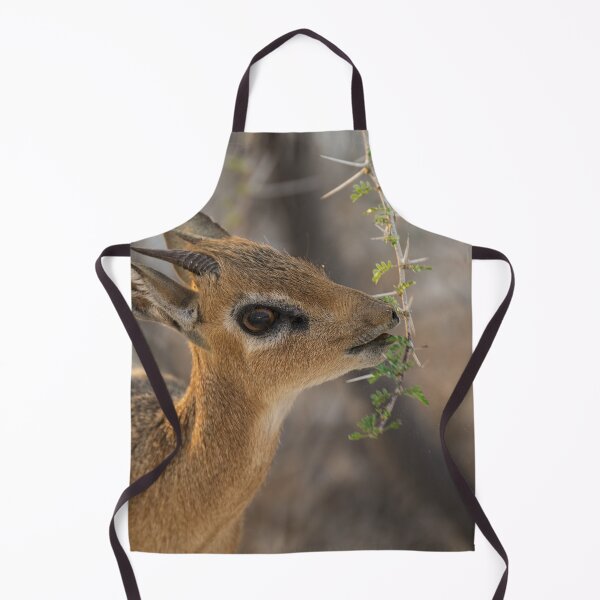 Item preview, Damara Dik Dik Browsing Acacia, Etosha Namibia designed and sold by DavideAntoniani.