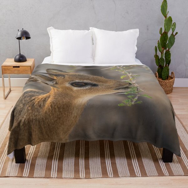 Item preview, Damara Dik Dik Browsing Acacia, Etosha Namibia designed and sold by DavideAntoniani.