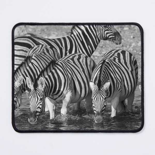 Item preview, Thunder of Stripes, Zebras Drinking at Okaukuejo, Etosha designed and sold by DavideAntoniani.