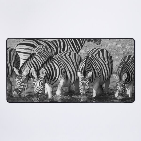 Item preview, Thunder of Stripes, Zebras Drinking at Okaukuejo, Etosha designed and sold by DavideAntoniani.