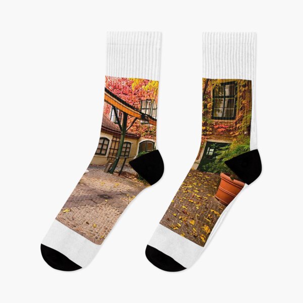 Item preview, Typical courtyard of an old building in Vienna during Autumn season designed and sold by goceris.