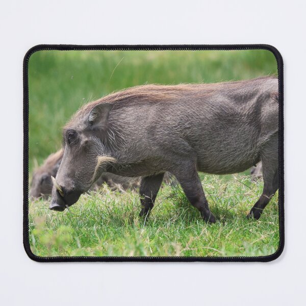 Item preview, Warthog - Arusha National Park designed and sold by KristalStittle.