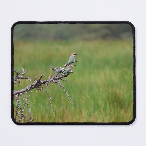 Item preview, White-Fronted Bee-Eaters designed and sold by KristalStittle.