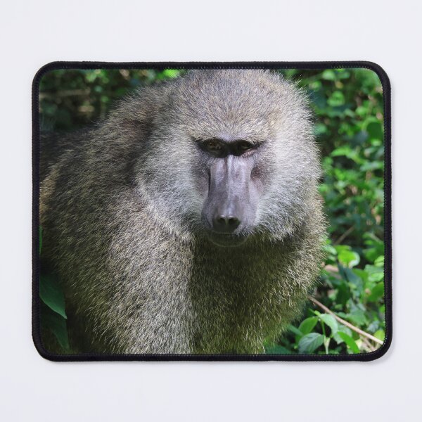 Item preview, Olive Baboon - Arusha National Park designed and sold by KristalStittle.