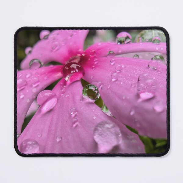 Item preview, Perfect Water Droplets on a Flower designed and sold by KristalStittle.