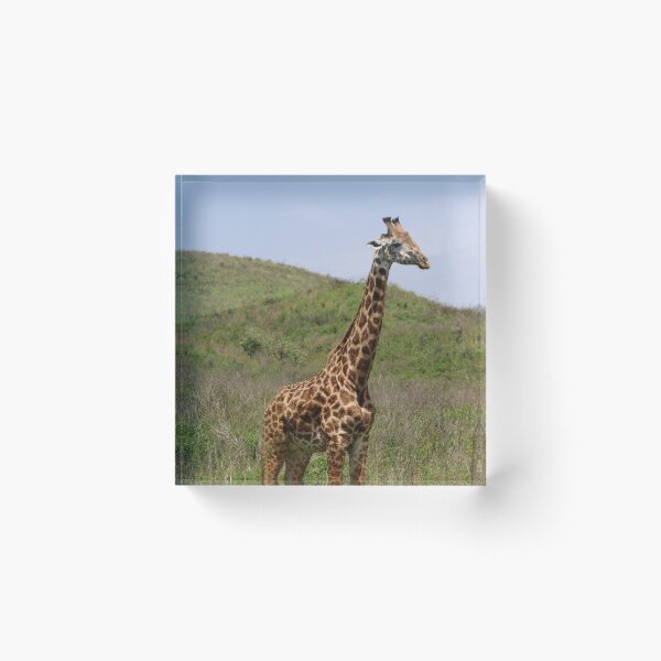 Item preview, A Wild Masai Giraffe designed and sold by KristalStittle.