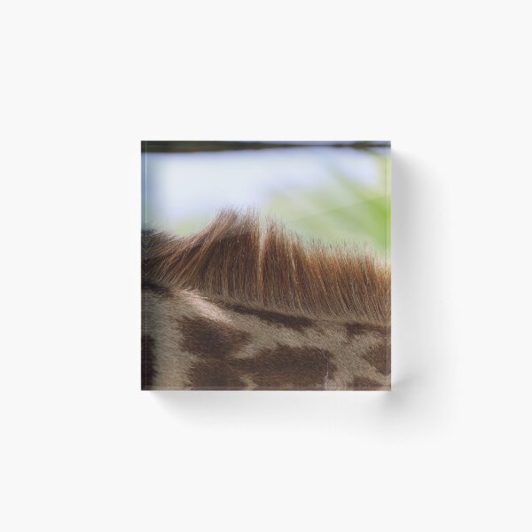 Item preview, A Masai Giraffe Mane designed and sold by KristalStittle.