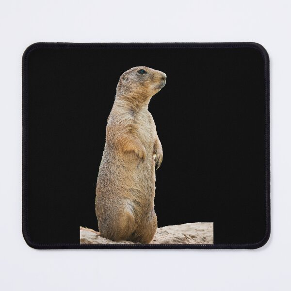 Item preview, Prairie dog "Ella" by elbvue designed and sold by elbvue.