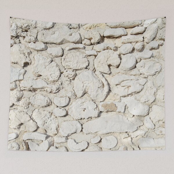 Item preview, Rustic Caribbean Coral Stone Wall 1 designed and sold by Anita's & Bella's Art.