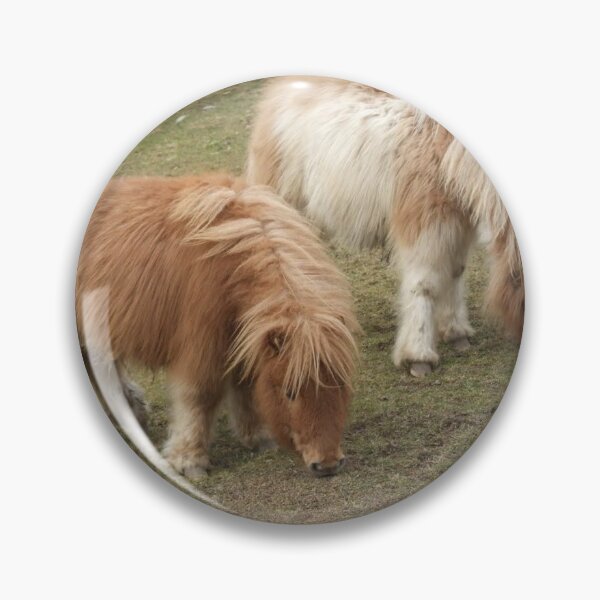 Item preview, Mini horses photography  designed and sold by pxllkitt.