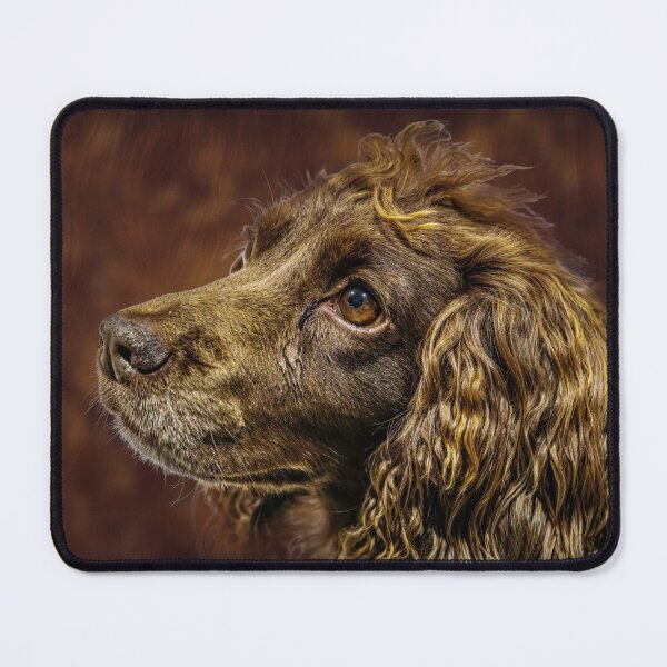 Item preview, Spaniel portrait designed and sold by Wendy Williams.