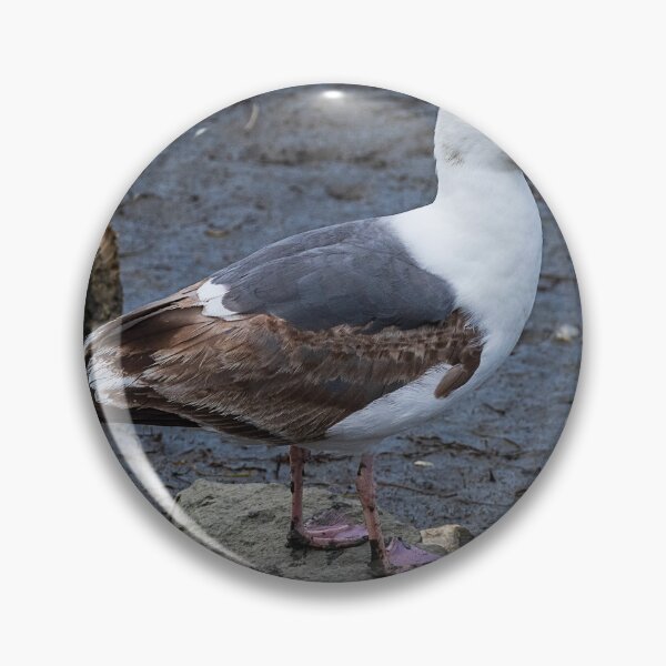 Item preview, Coastal Gull designed and sold by WrightDesignsUS.