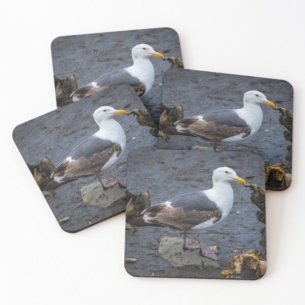 Item preview, Coastal Gull designed and sold by WrightDesignsUS.