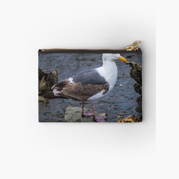 Item preview, Coastal Gull designed and sold by WrightDesignsUS.