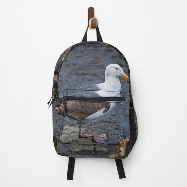 Item preview, Coastal Gull designed and sold by WrightDesignsUS.