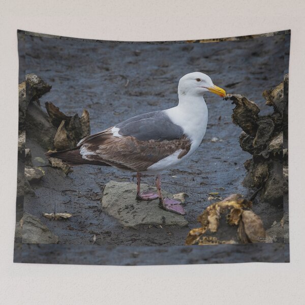 Item preview, Coastal Gull designed and sold by WrightDesignsUS.