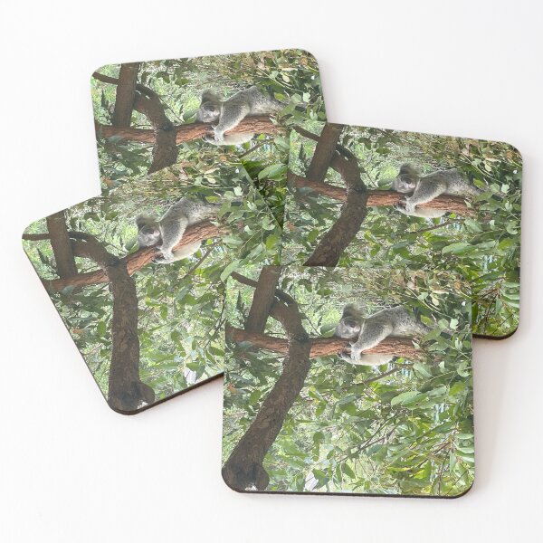 Item preview, Koala designed and sold by Eternal Student.