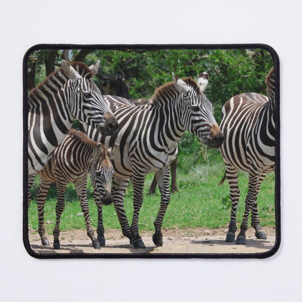Item preview, Plains Zebras at the Watering Hole designed and sold by KristalStittle.