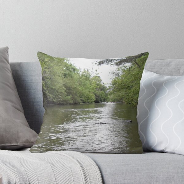 Item preview, Floating on a lazy river designed and sold by RollingLoaded.