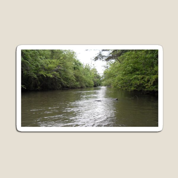 Aperçu de l'œuvre Flotter sur une rivière tranquille créée et vendue par RollingLoaded.