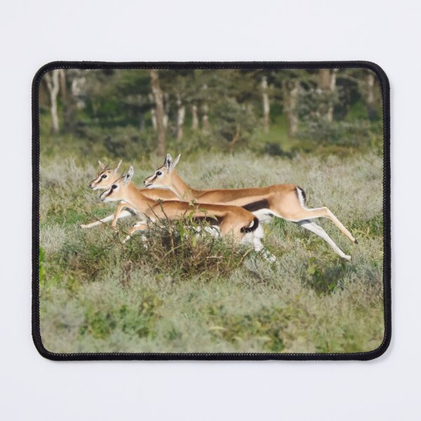Item preview, Trio of Sprinting Gazelle designed and sold by KristalStittle.