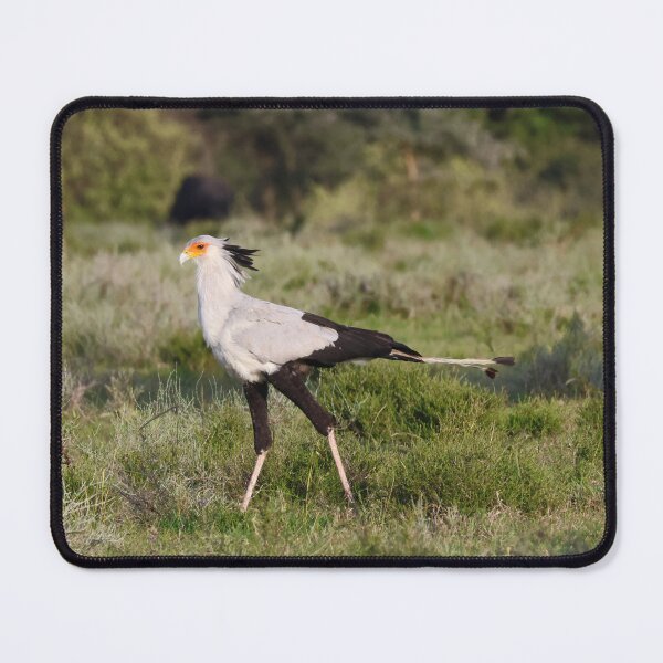 Item preview, Strutting Secretarybird - Eastern Serengeti designed and sold by KristalStittle.