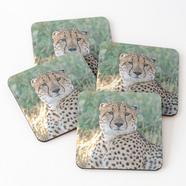 Item preview, Cheetah Portrait, African Savanna, Amber Eyes designed and sold by DavideAntoniani.