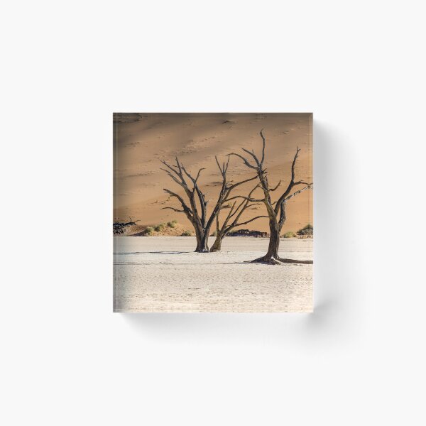 Item preview, Silent Sculptures Deadvlei Trees, Namib Desert designed and sold by DavideAntoniani.