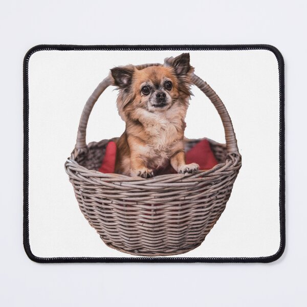 Item preview, Cute Chihuahua in a basket by elbvue designed and sold by elbvue.