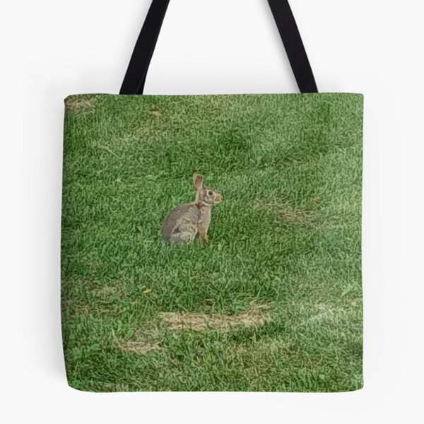 Item preview, Alert Baby Rabbit designed and sold by Spectrum Perspectives.