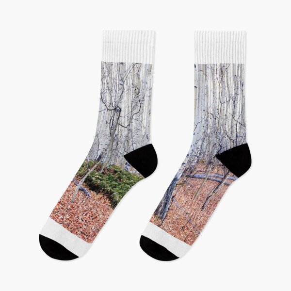 Item preview, White forest designed and sold by zumi.
