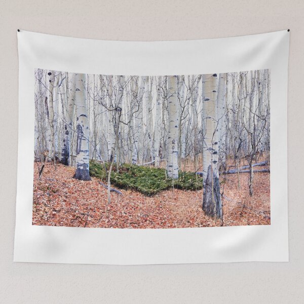 Item preview, White forest designed and sold by zumi.