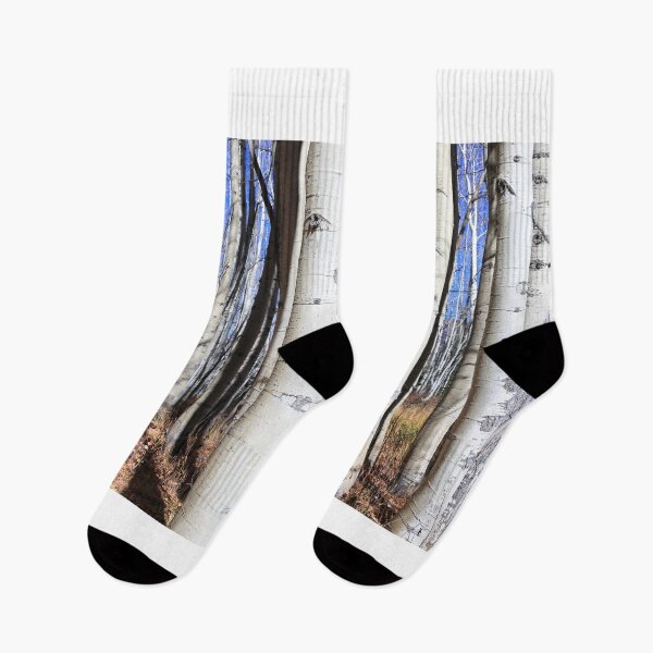 Item preview, White bark forest designed and sold by zumi.