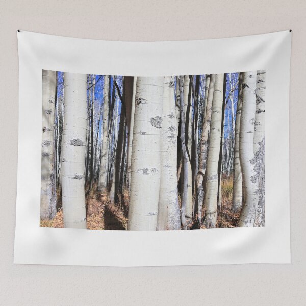 Item preview, White bark forest designed and sold by zumi.
