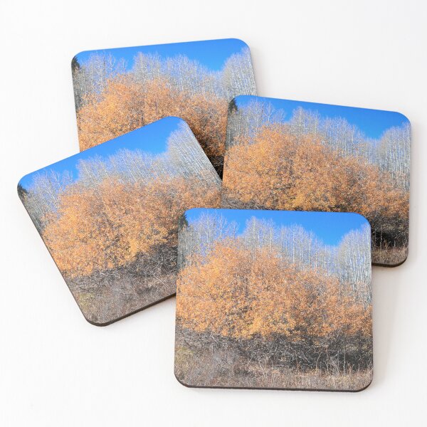 Item preview, Along Kebler pass route designed and sold by zumi.
