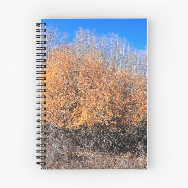 Item preview, Along Kebler pass route designed and sold by zumi.