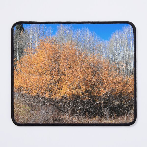 Item preview, Along Kebler pass route designed and sold by zumi.