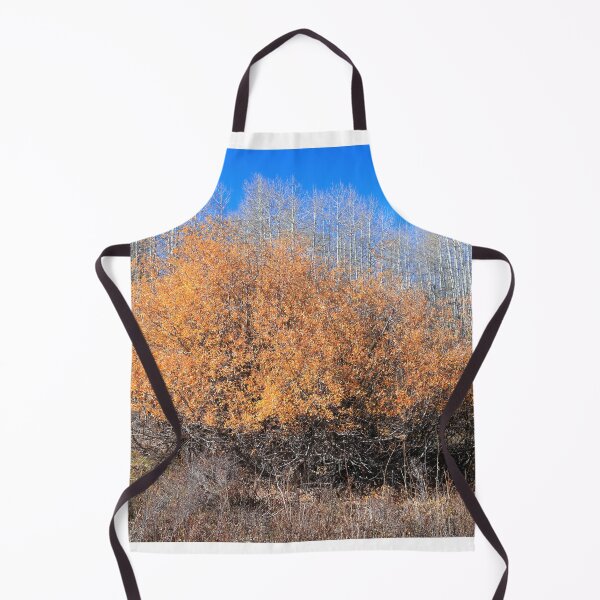 Item preview, Along Kebler pass route designed and sold by zumi.