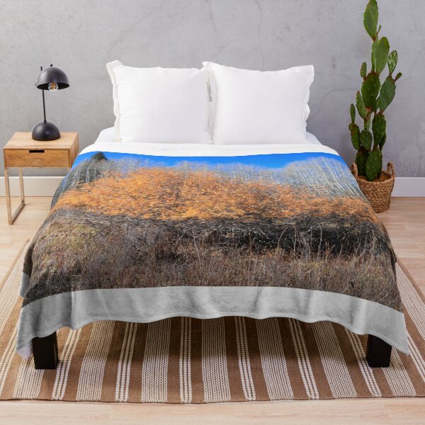 Item preview, Along Kebler pass route designed and sold by zumi.