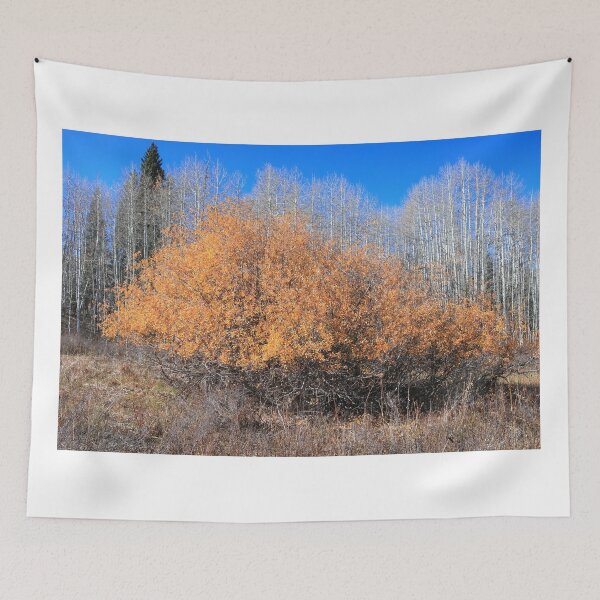 Item preview, Along Kebler pass route designed and sold by zumi.