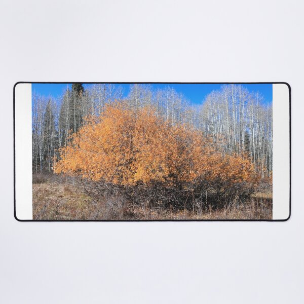 Item preview, Along Kebler pass route designed and sold by zumi.