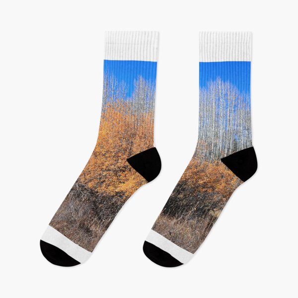 Item preview, Along Kebler pass route designed and sold by zumi.