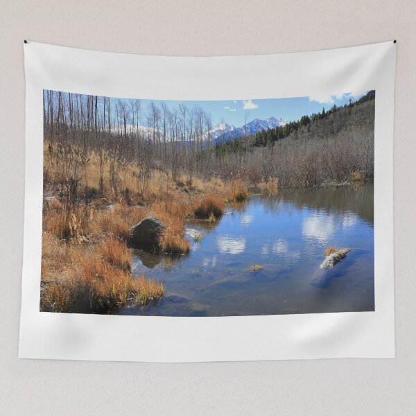 Item preview, Hiking Mt Elbert East Ridge trail designed and sold by zumi.