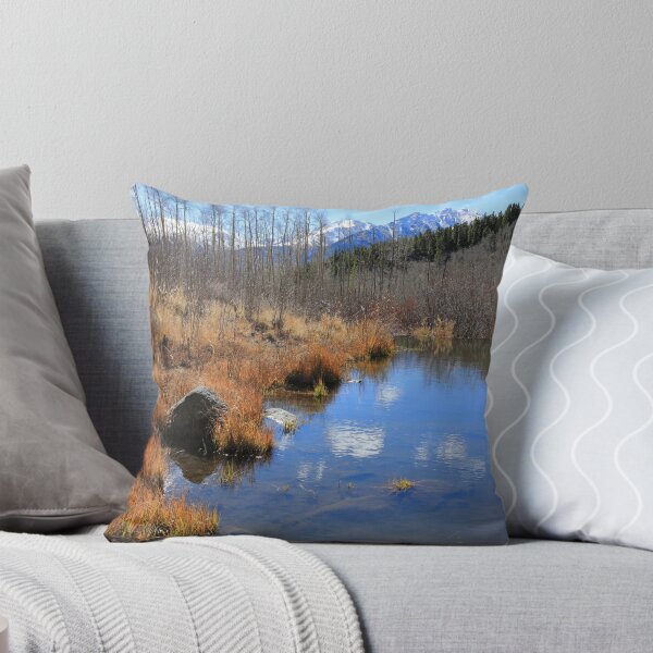 Item preview, Hiking Mt Elbert East Ridge trail designed and sold by zumi.